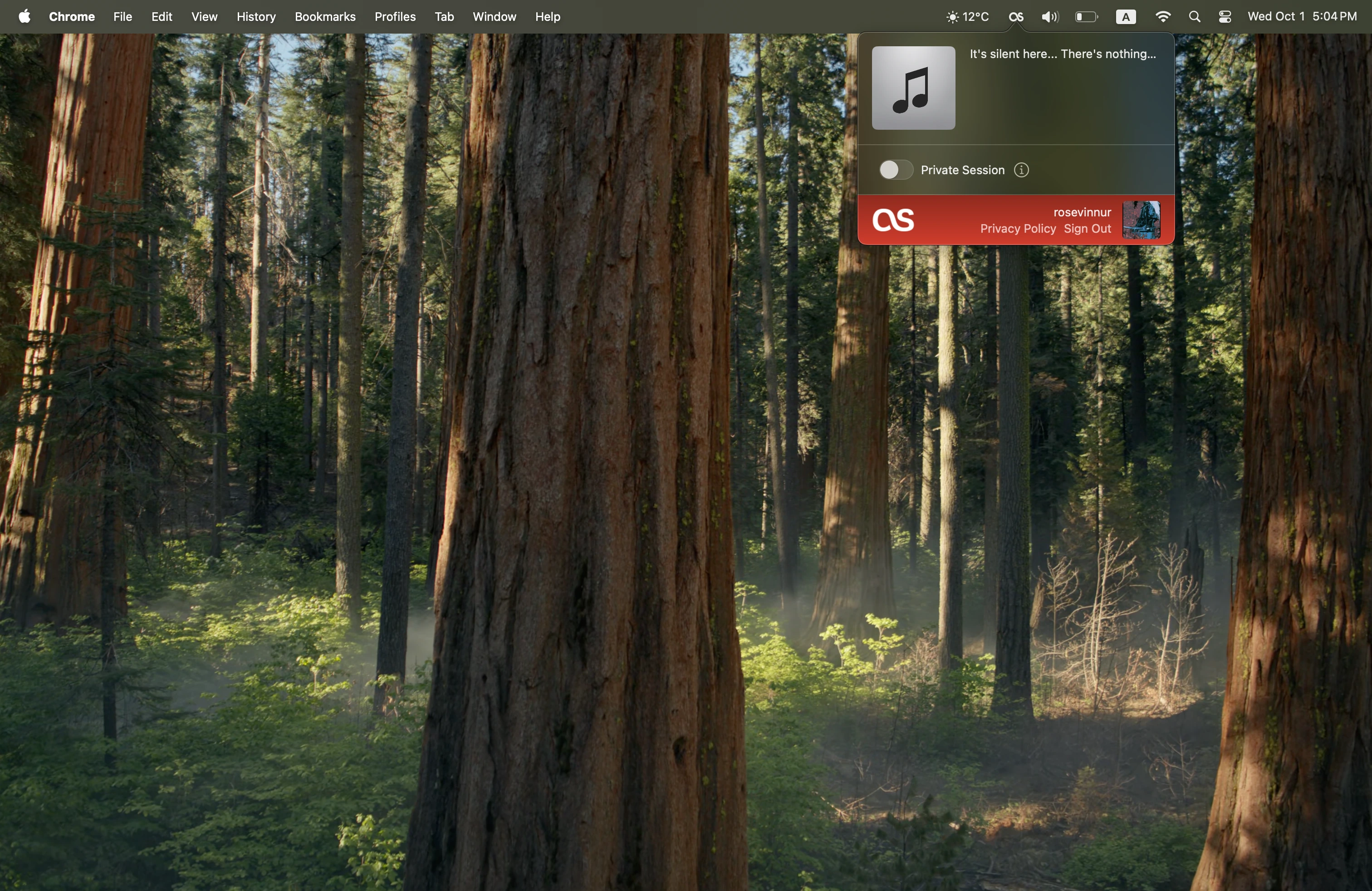 Audioscrobbler settings and privacy options with private session toggle