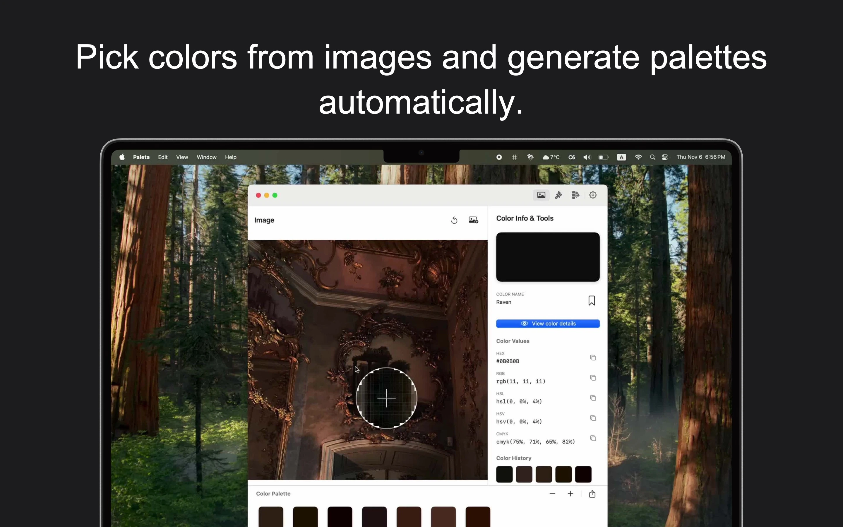 Paleta color picker interface showing color extraction from image with multiple format support