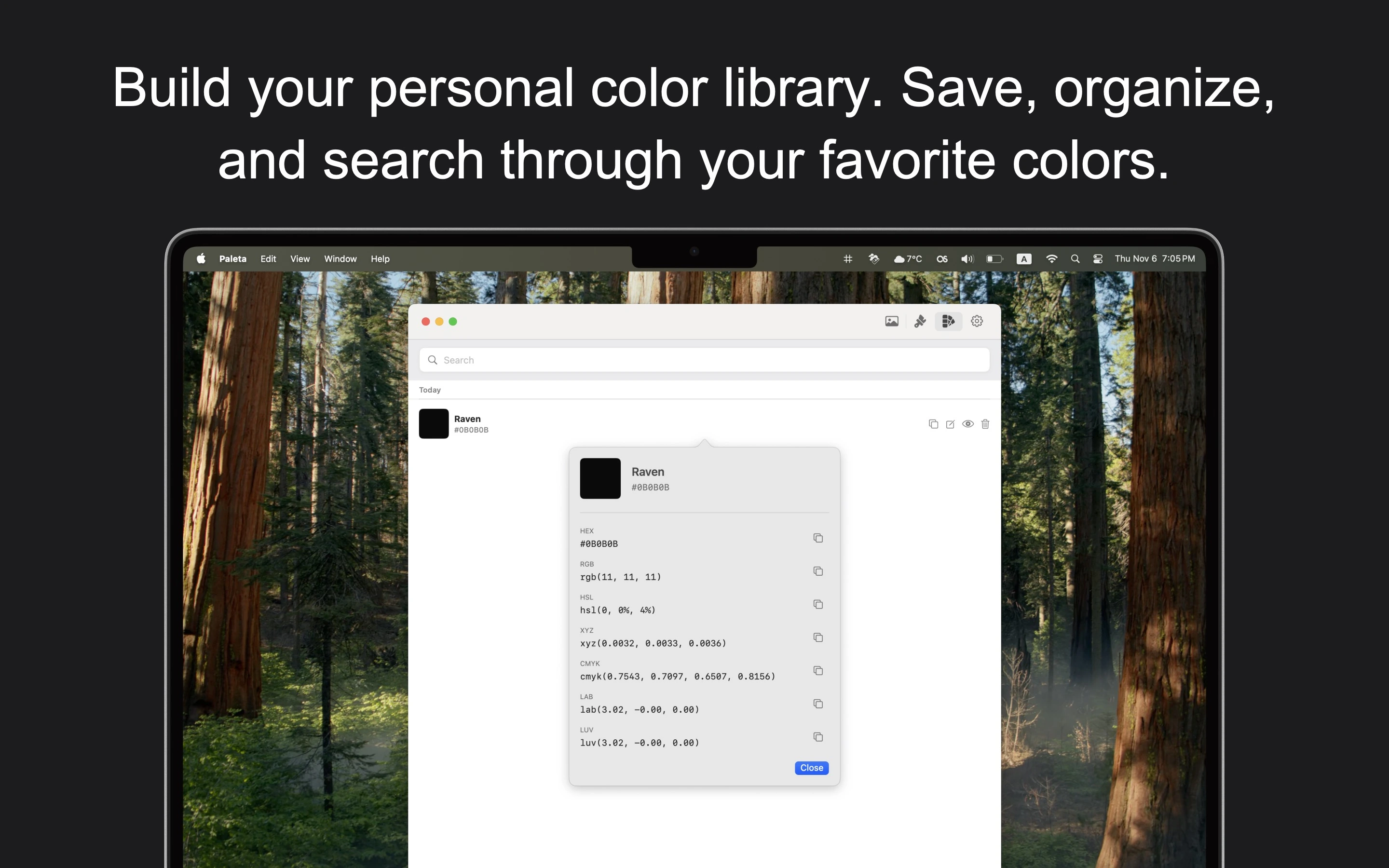 Paleta color library showing saved palettes with export options in multiple formats